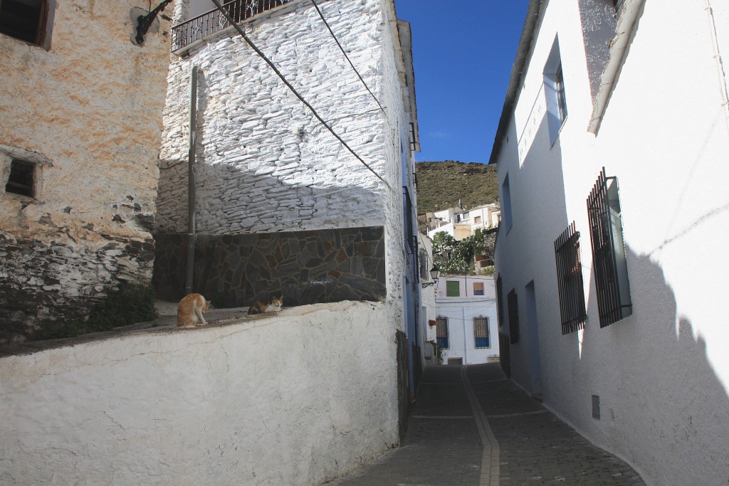 Foto: Centro histórico - Velefique (Almería), España