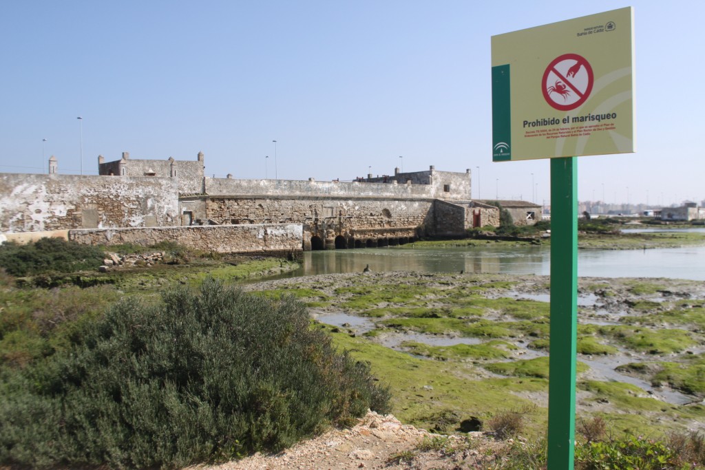 Foto de Cádiz (Andalucía), España