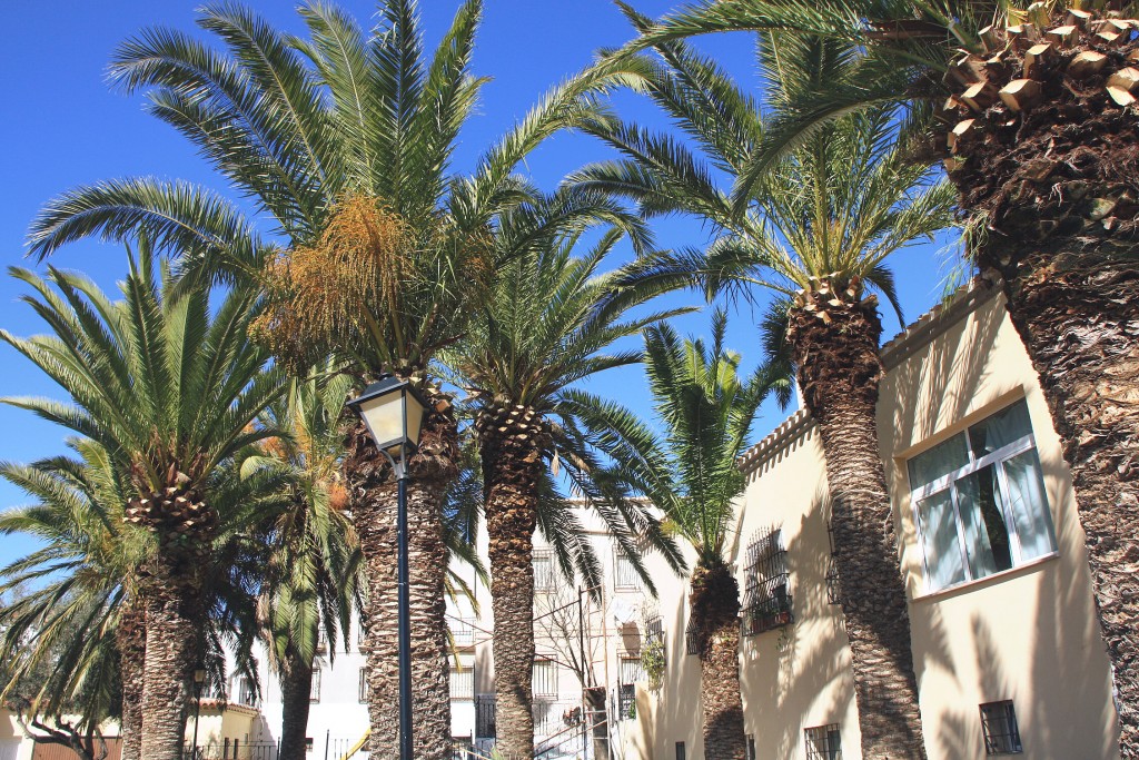 Foto: Vista del pueblo - Sorbas (Almería), España