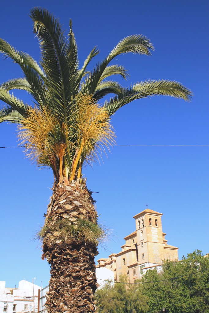 Foto: Centro histórico - Laujar de Andarax (Almería), España