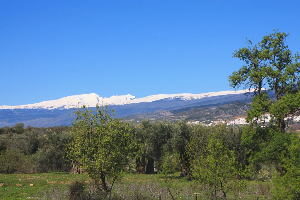 Foto: Vistas desde el pueblo - Fondón (Almería), España