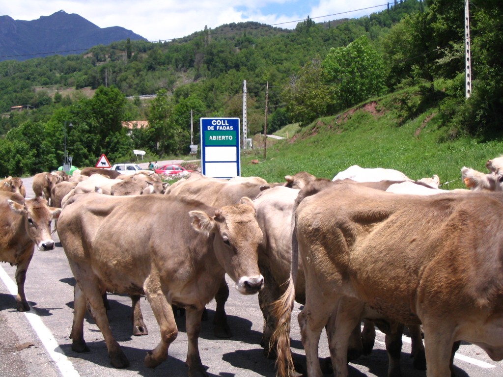 Foto de Panticosa (Huesca), España