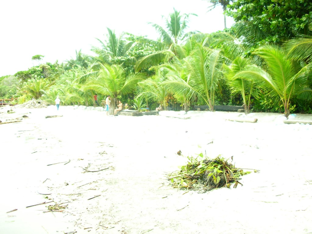 Foto: necocli urantia cabañas - Necocli (Antioquia), Colombia