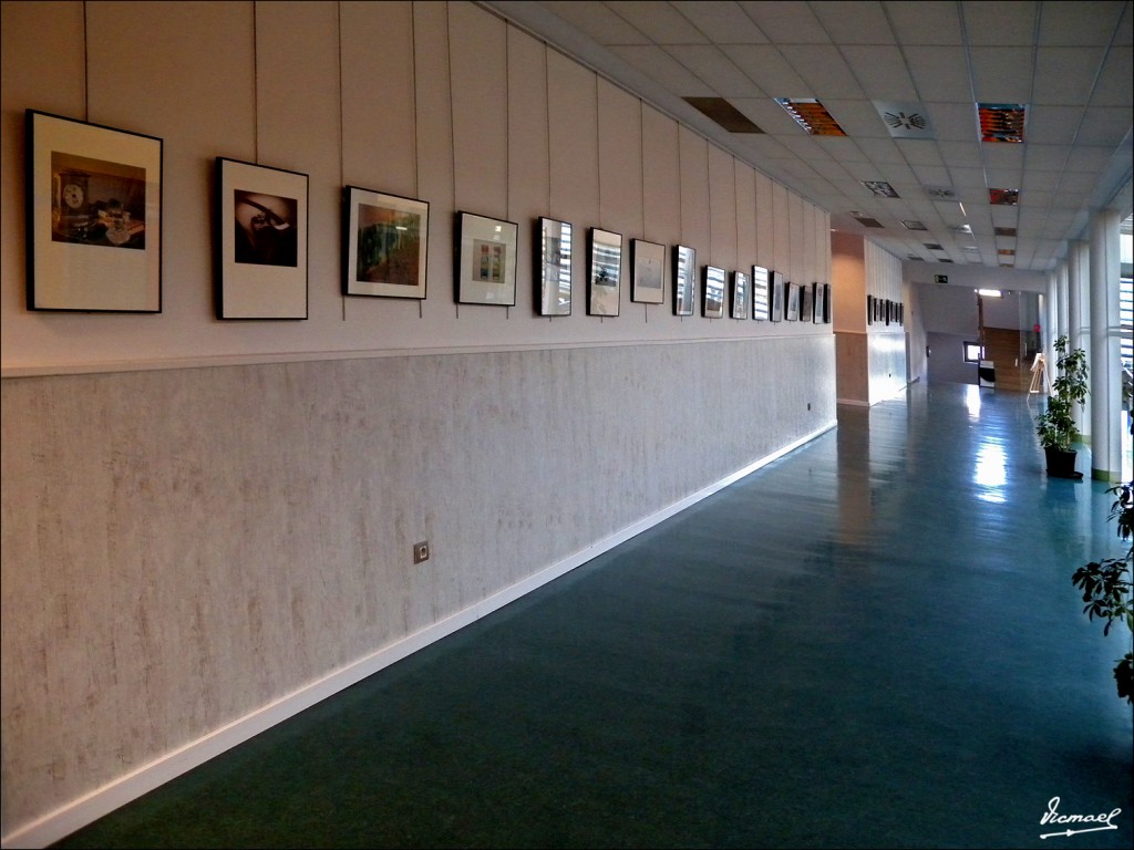 Foto: 110404-03 EXPOSICION FOTOGRAFICA  LA LECTURA - Zaragoza (Aragón), España