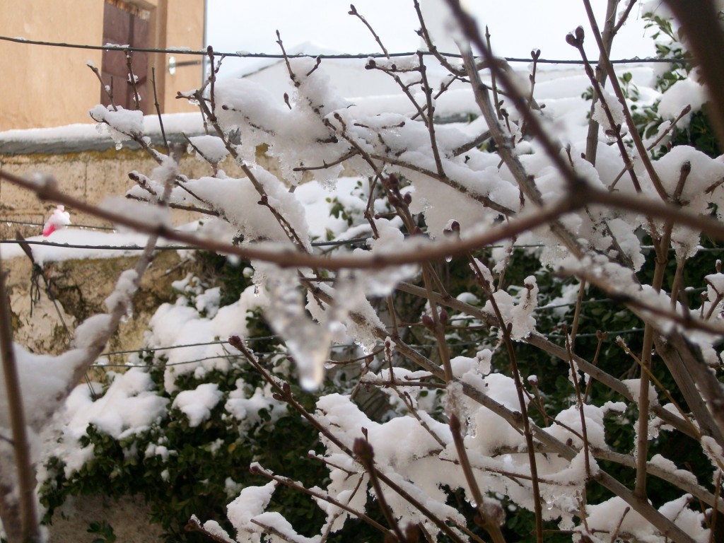 Foto de La Jamula de baza (Granada), España