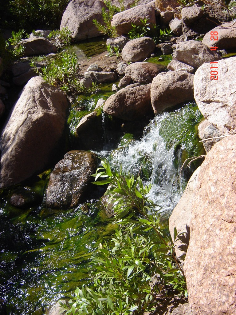 Foto: Complejo Termal Fiambalá. - Fiambalá (Catamarca), Argentina