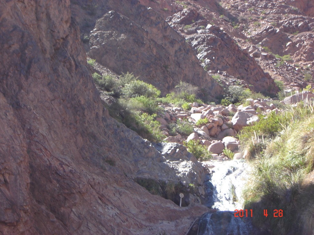 Foto: Complejo Termal Fiambalá. - Fiambalá (Catamarca), Argentina