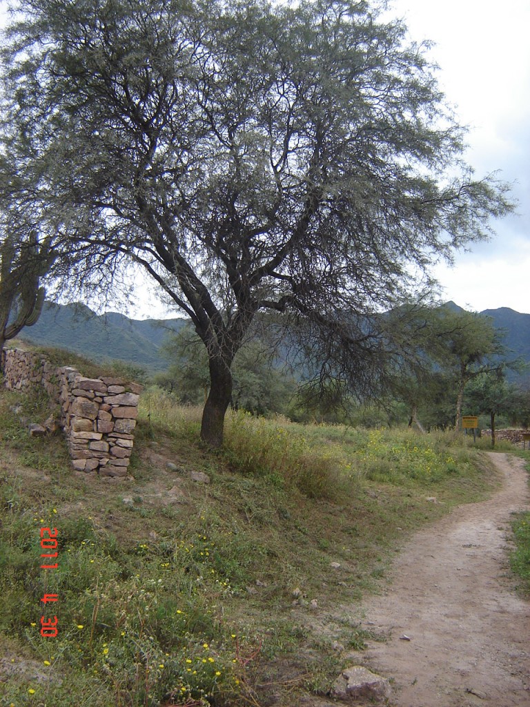 Foto: Ruinas El Shincal - Londres (Catamarca), Argentina