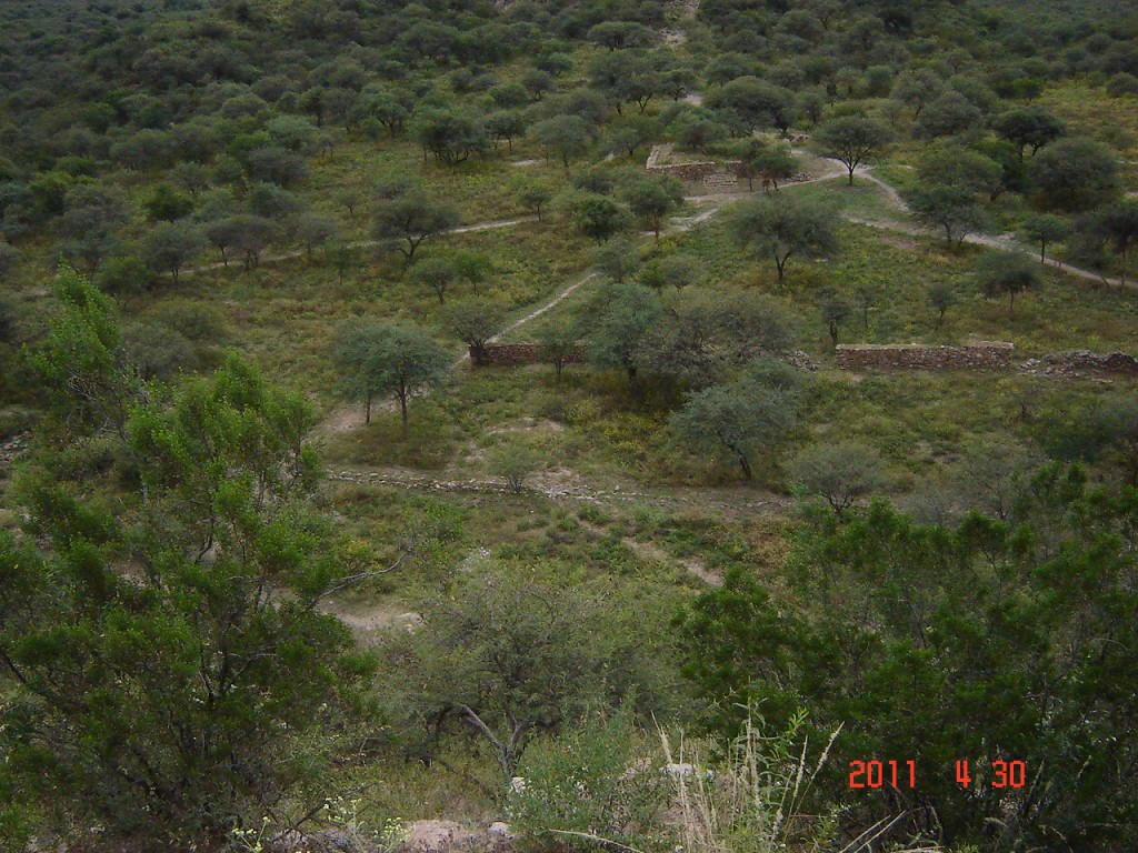 Foto: Ruinas El Shincal - Londres (Catamarca), Argentina