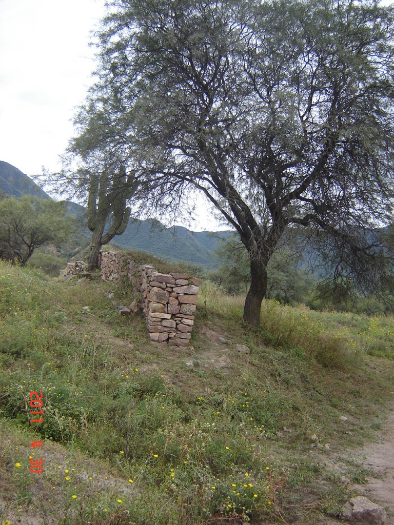 Foto: Ruinas El Shincal - Londres (Catamarca), Argentina