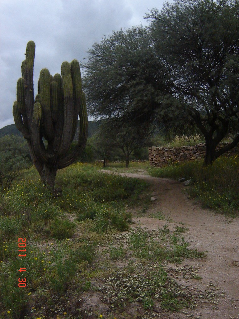 Foto: Ruinas El Shincal - Londres (Catamarca), Argentina