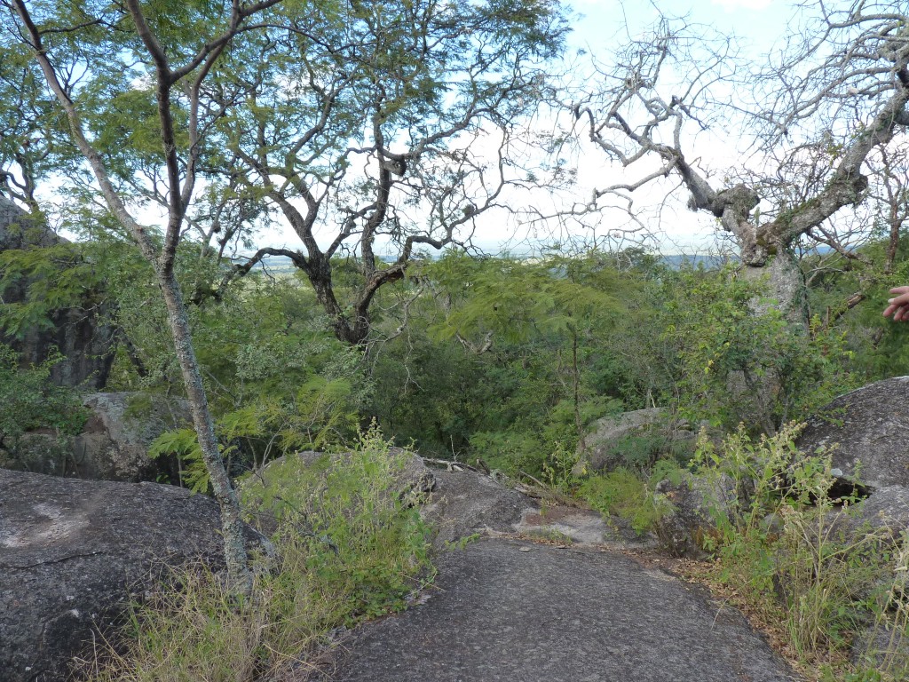 Foto: Pinturas rupestres de La Tunita - Ancasti (Catamarca), Argentina