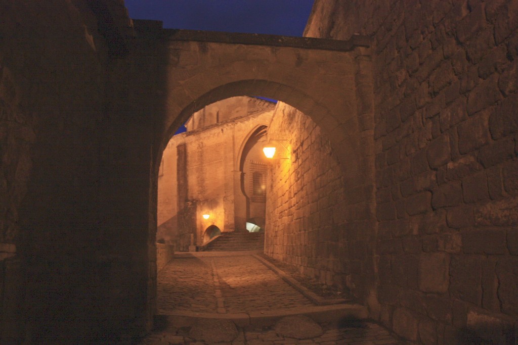 Foto: Centro histórico - Sos del Rey Católico (Zaragoza), España