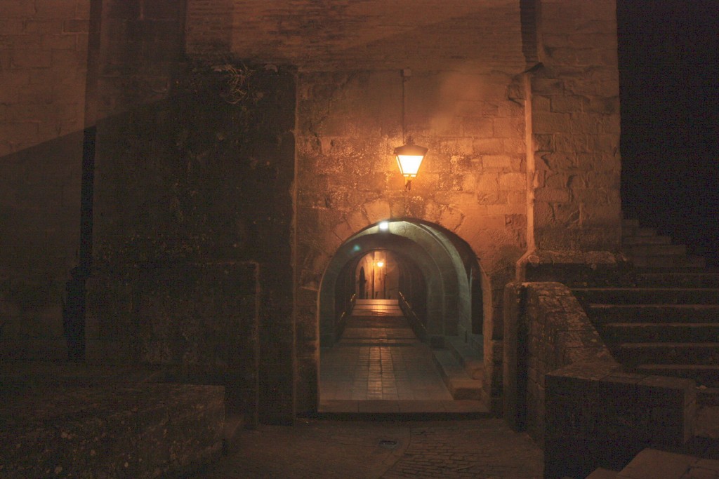 Foto: Centro histórico - Sos del Rey Católico (Zaragoza), España