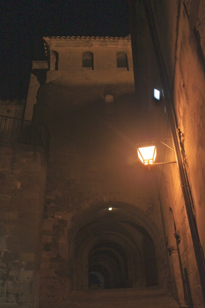 Foto: Centro histórico - Sos del Rey Católico (Zaragoza), España