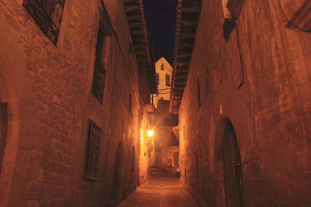 Foto: Centro histórico - Sos del Rey Católico (Zaragoza), España