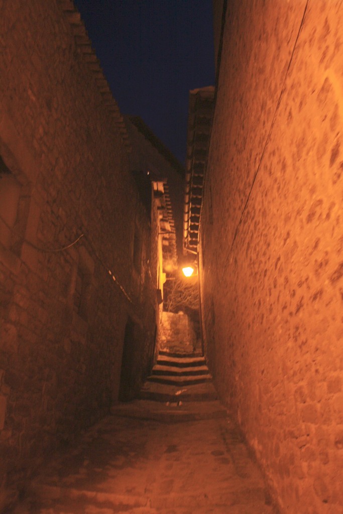 Foto: Centro histórico - Sos del Rey Católico (Zaragoza), España