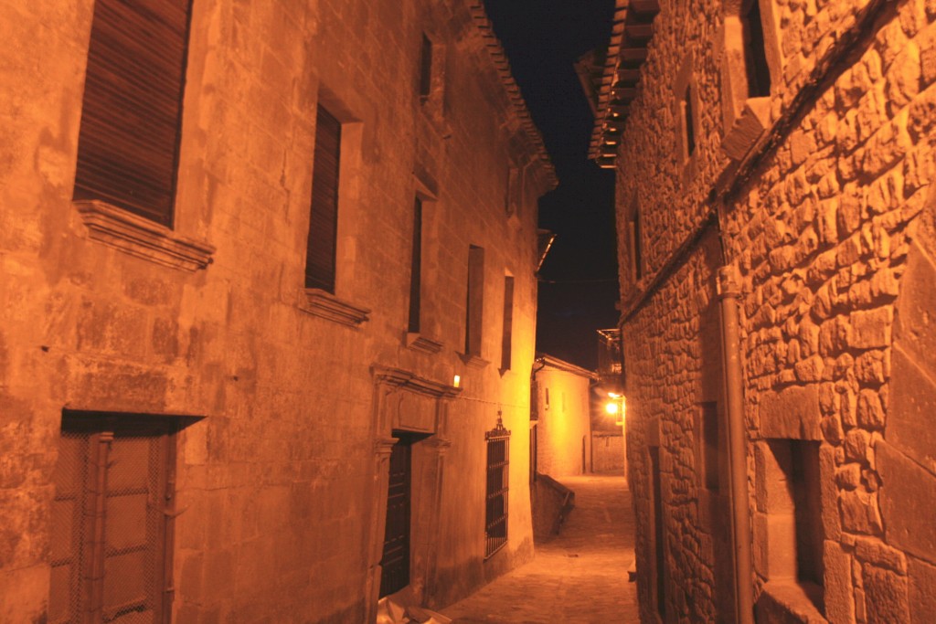 Foto: Centro histórico - Sos del Rey Católico (Zaragoza), España