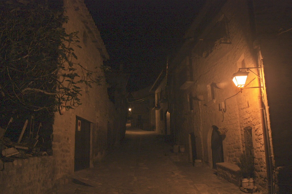 Foto: Centro histórico - Sos del Rey Católico (Zaragoza), España