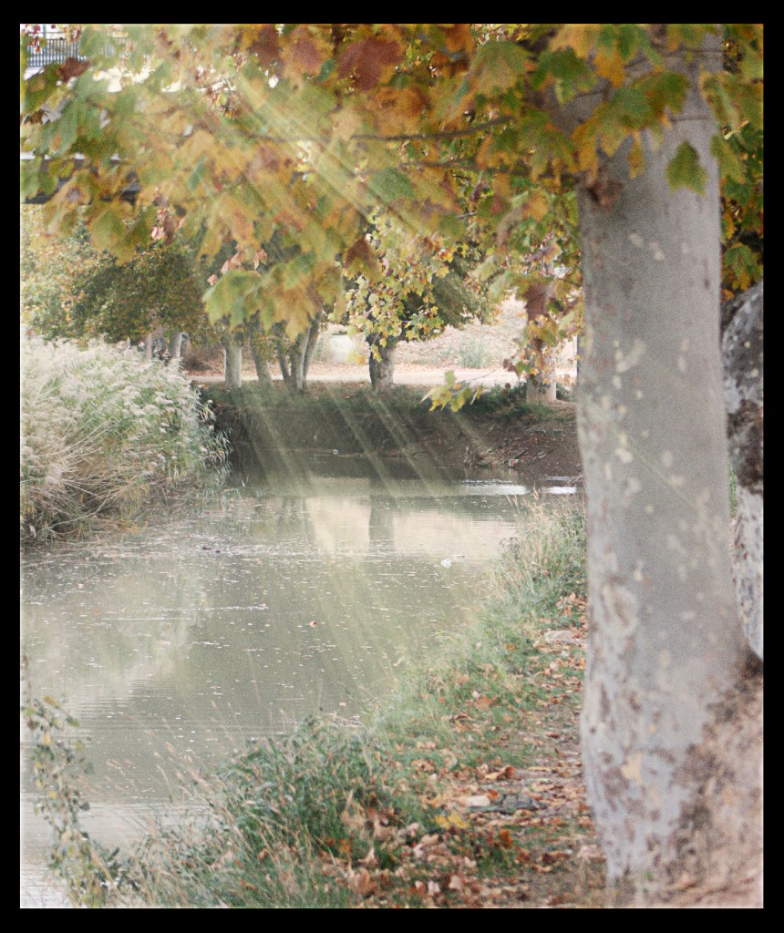 Foto: El canal Imperial de Aragon - Zaragoza (Aragón), España