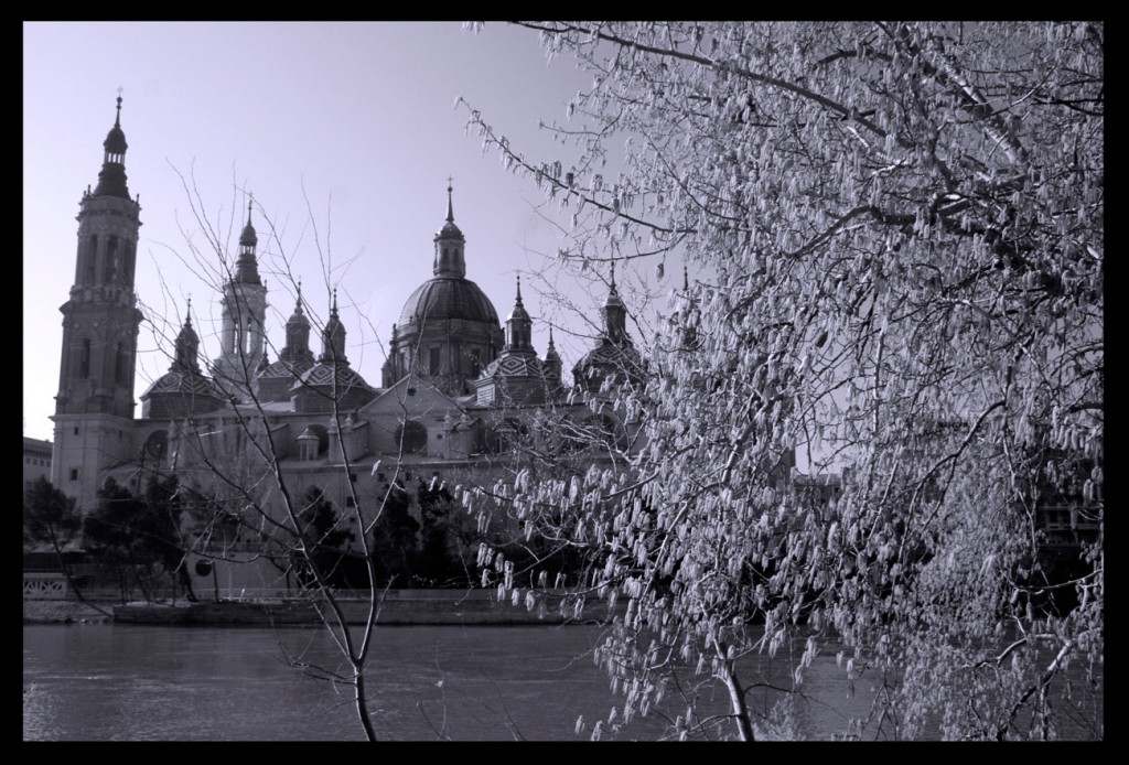 Foto: El Pilar - Zaragoza (Aragón), España