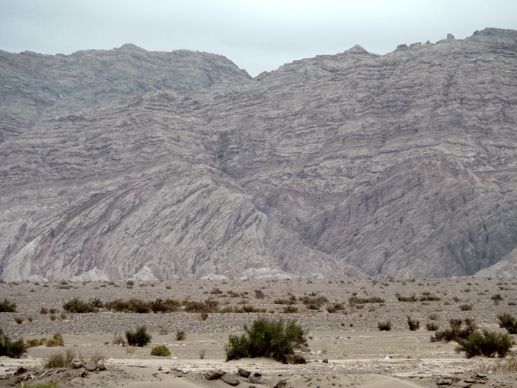 Foto: Camino a Tinogasta - Tinogasta (Catamarca), Argentina