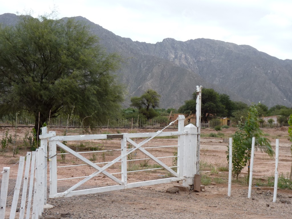 Foto: Copacabana - Tinogasta (Catamarca), Argentina