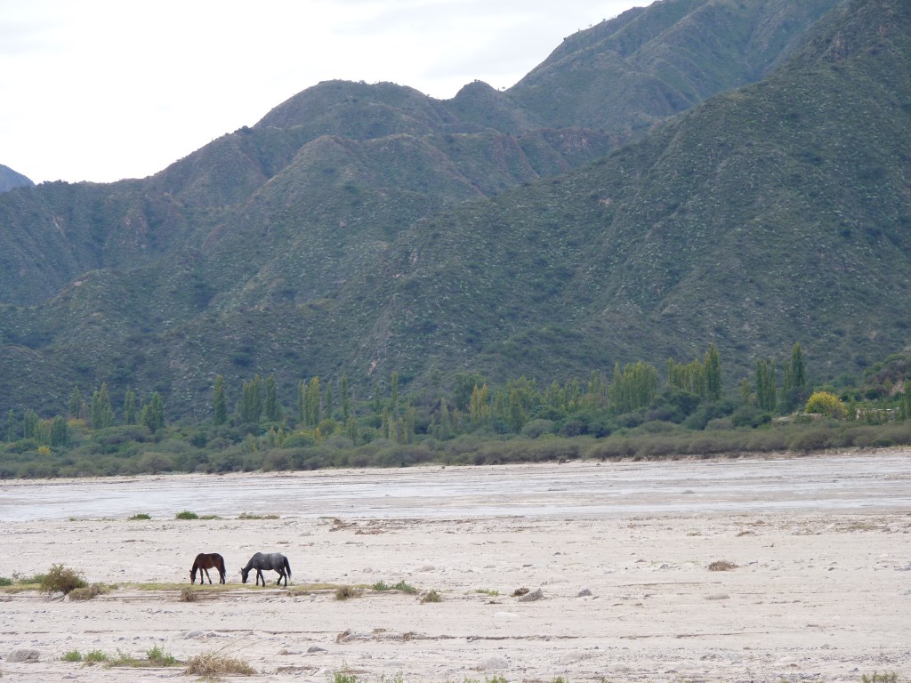 Foto: Río Belén - Belén (Catamarca), Argentina