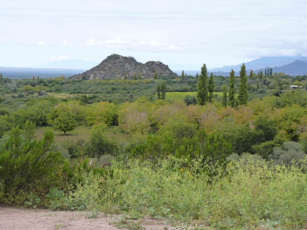 Foto: El Shincal - Londres (Catamarca), Argentina