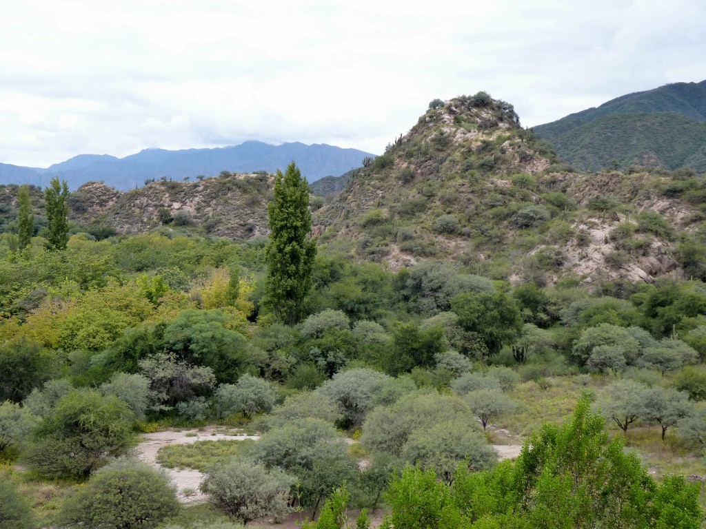 Foto: El Shincal - Londres (Catamarca), Argentina