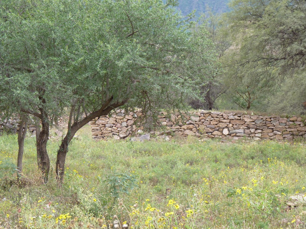 Foto: Ruinas El Shincal - Londres (Catamarca), Argentina