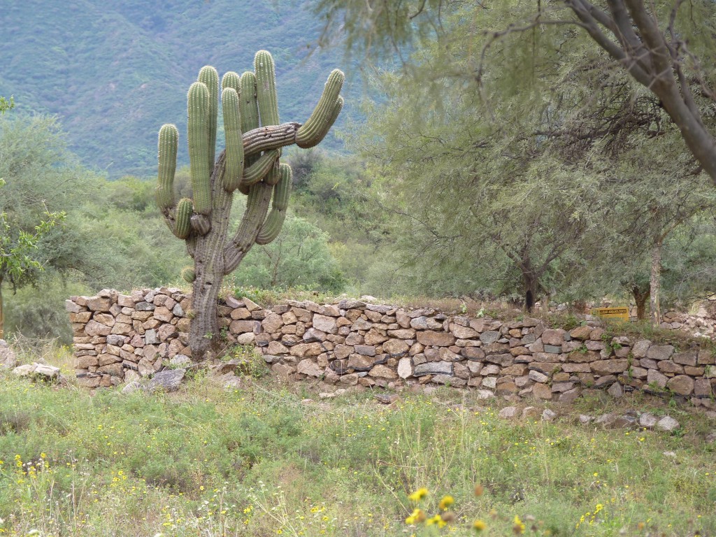 Foto: Ruinas El Shincal - Londres (Catamarca), Argentina