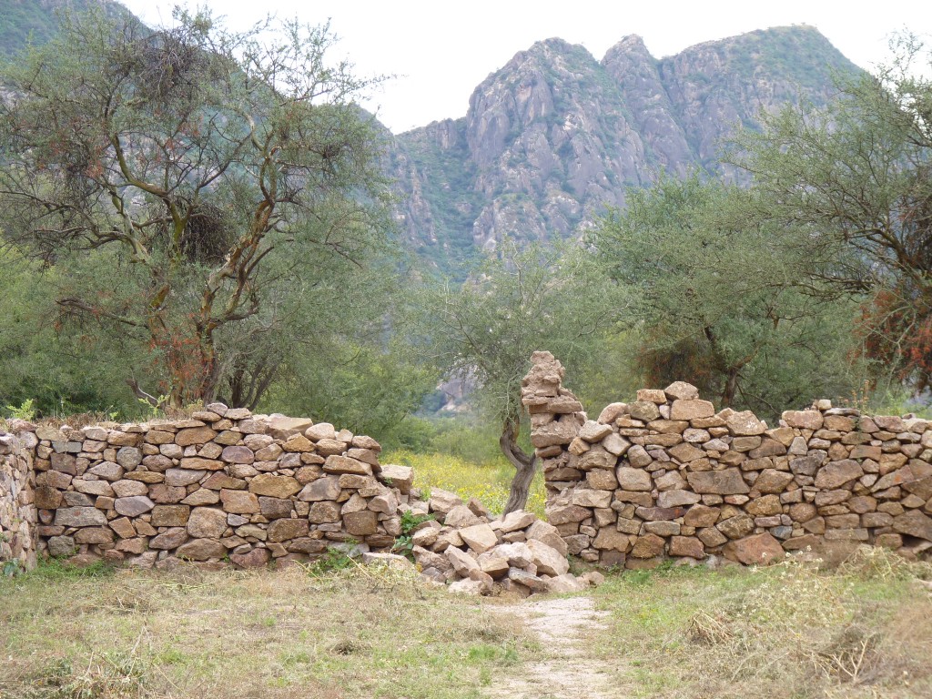 Foto: Ruinas El Shincal - Londres (Catamarca), Argentina