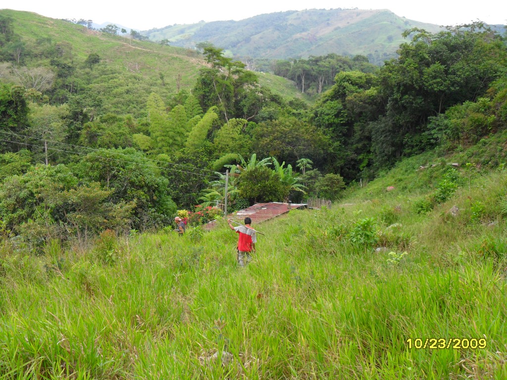 Foto: bosque - Norte De Santander, Colombia