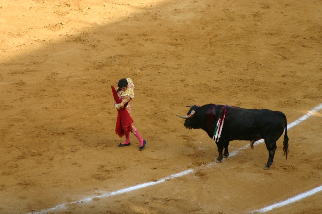 Foto de Jerez de la Frontera (Cádiz), España