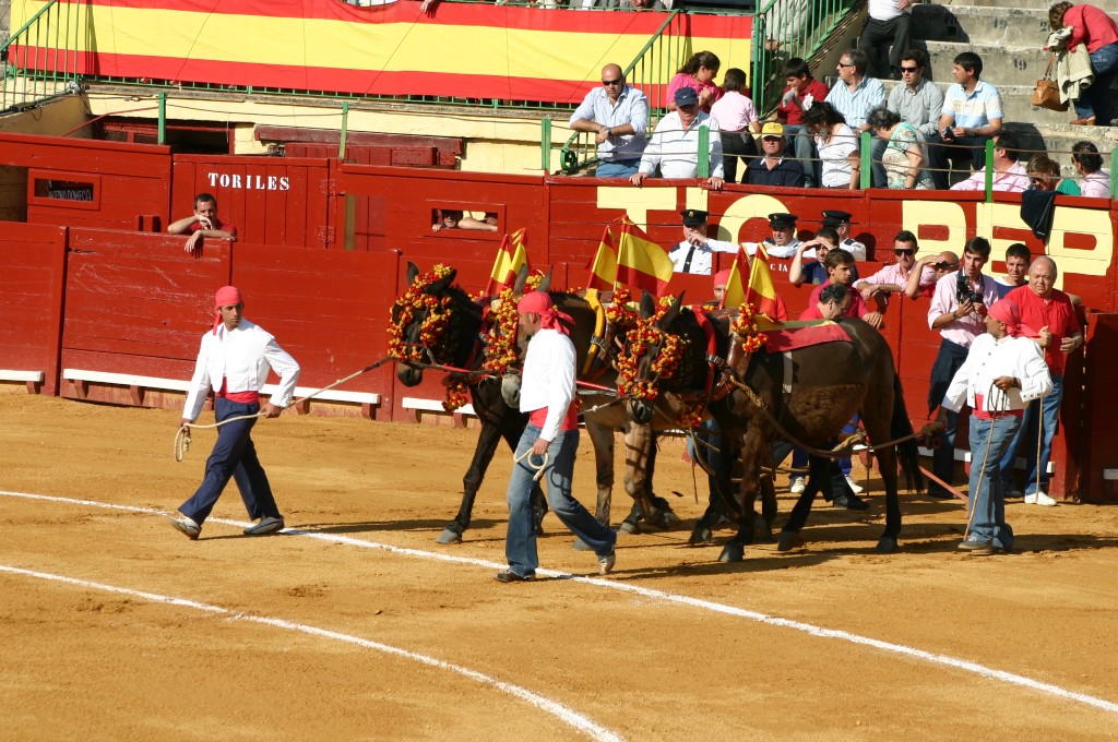 Foto de Jerez de la Frontera (Cádiz), España