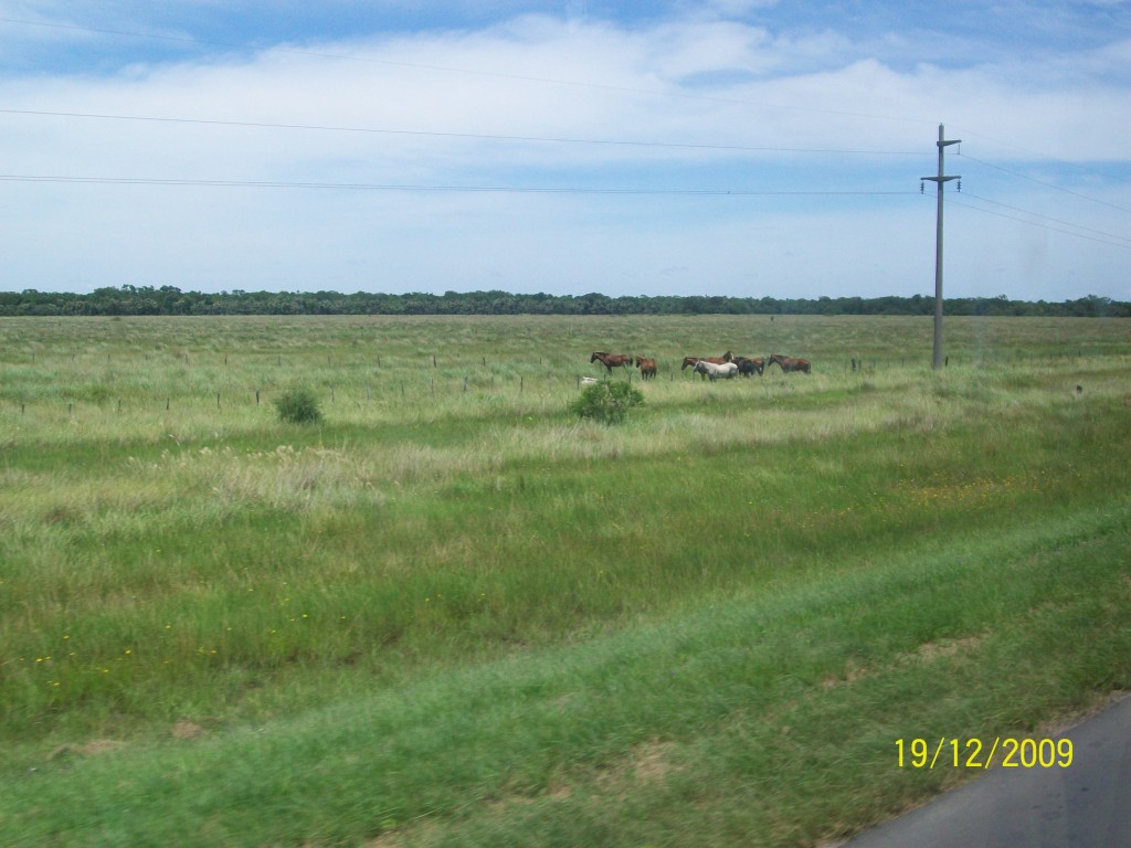 Foto: Pirané Formosa, Argentina - Pirané (Formosa), Argentina