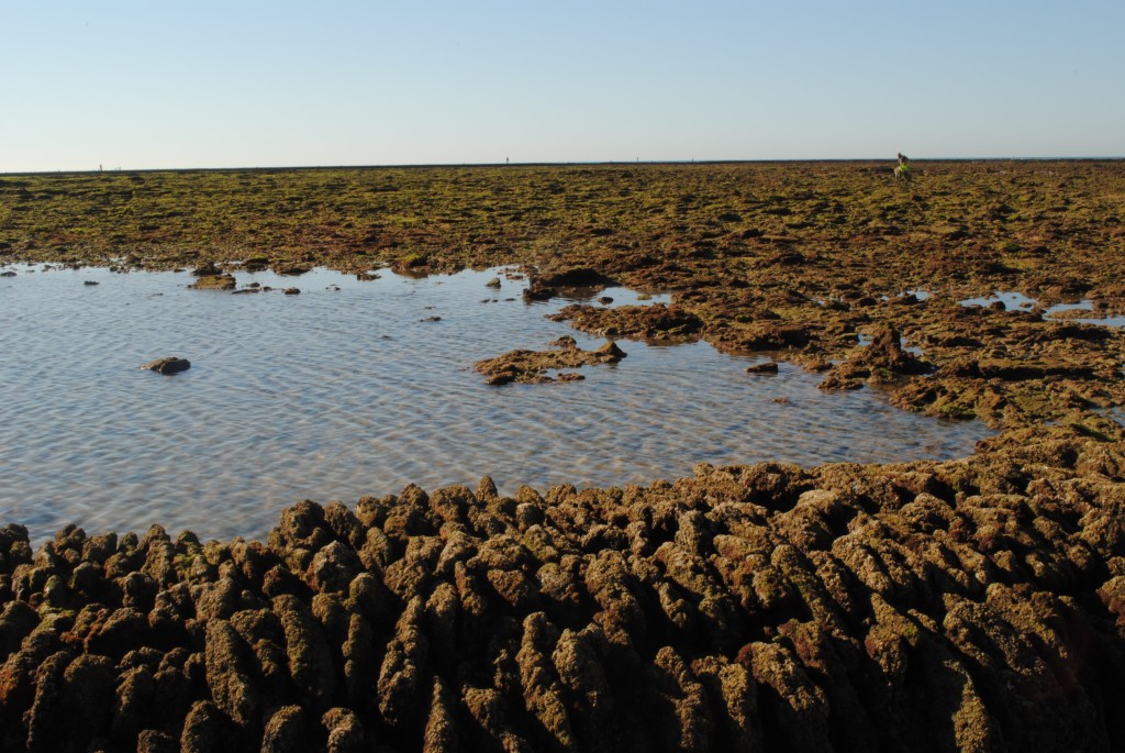 Foto: Los Corrales - Rota (Cádiz), España