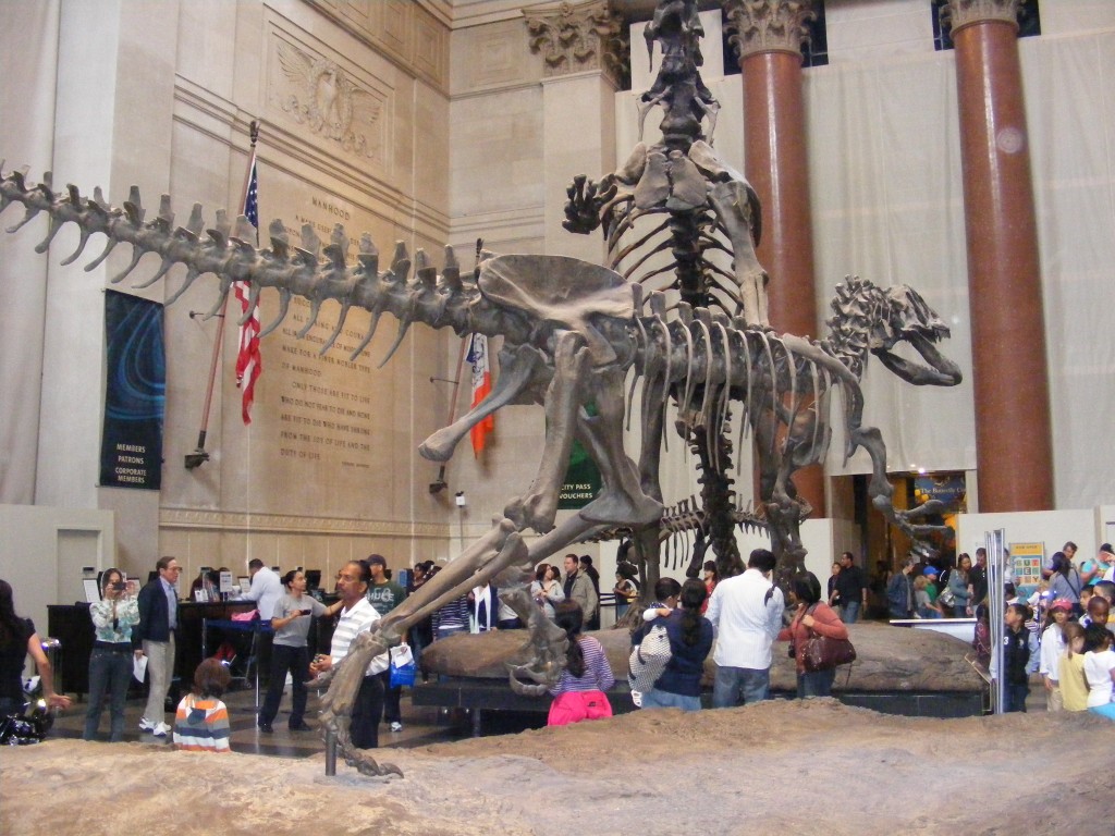 Foto: American Museum of Natural History - New York, Estados Unidos