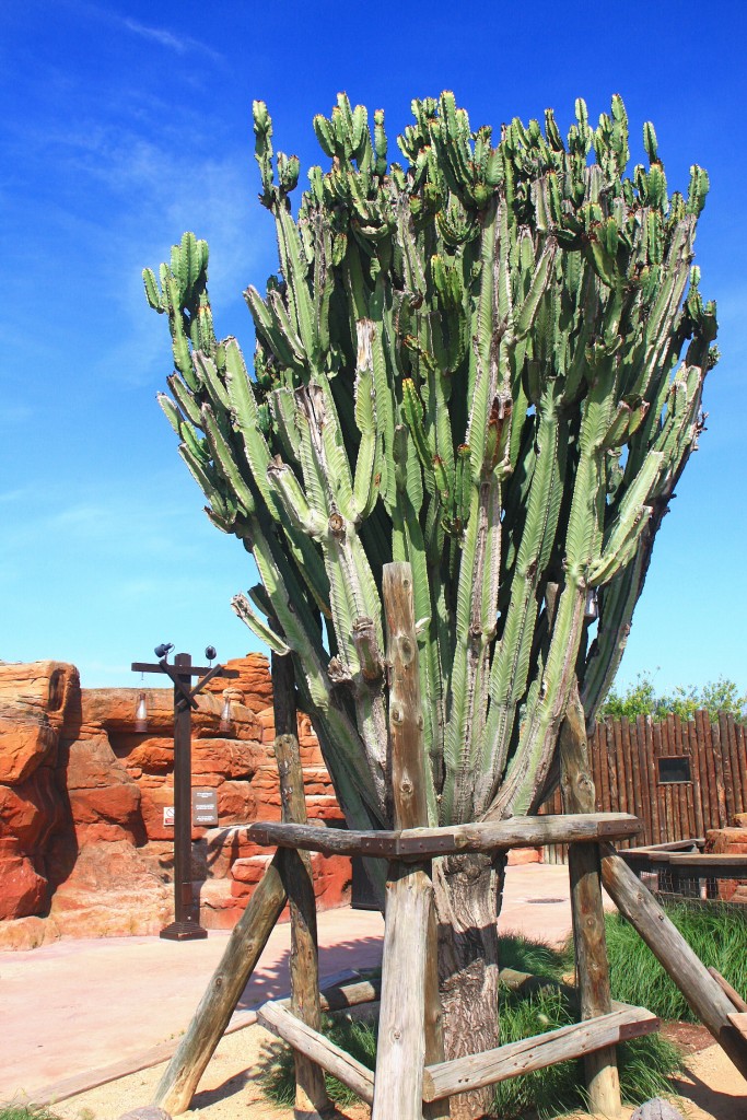 Foto: PortAventura ( Far West ) - Salou (Tarragona), España