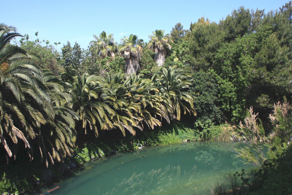 Foto: PortAventura ( Polynesia ) - Salou (Tarragona), España