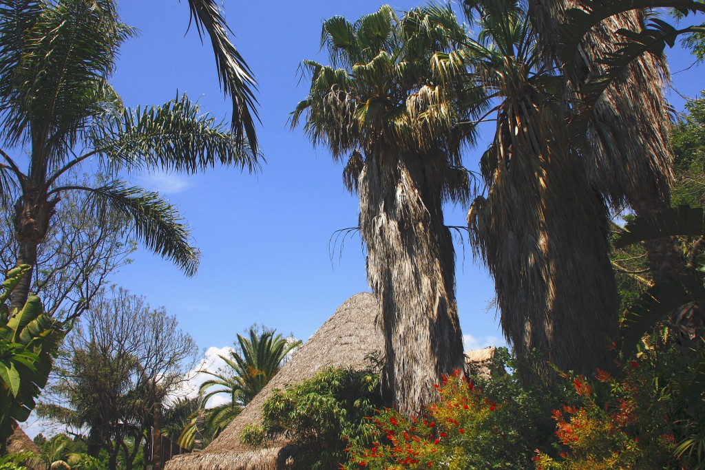 Foto: PortAventura ( Polynesia ) - Salou (Tarragona), España