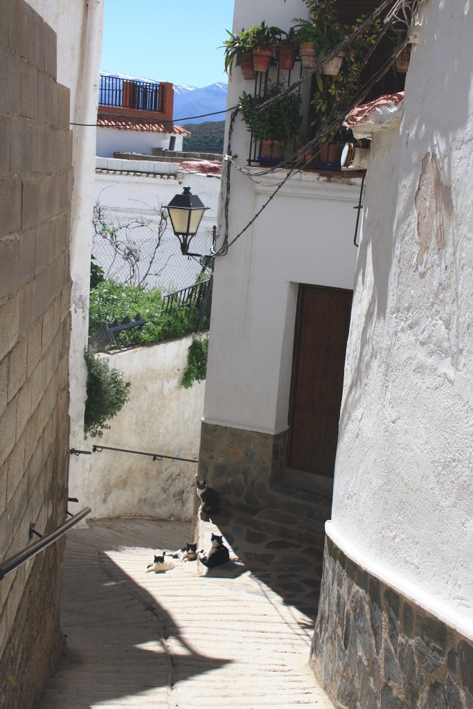 Foto: Centro histórico - Ohanes (Almería), España