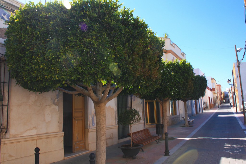 Foto: Vista del pueblo - Alhama de Almería (Almería), España