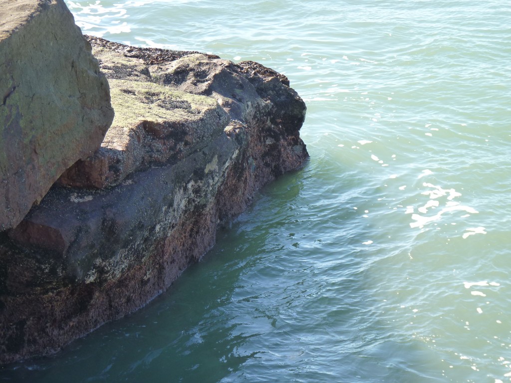 Foto de Mar del Plata (Buenos Aires), Argentina