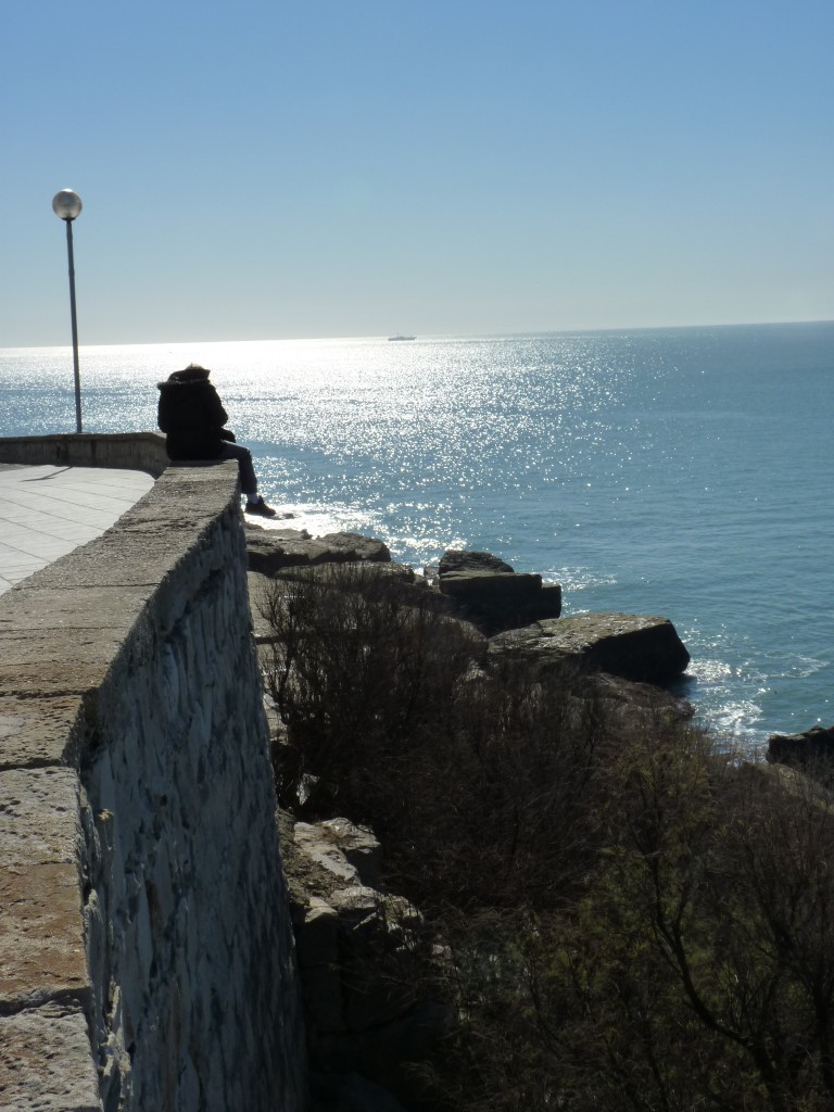 Foto de Mar del Plata (Buenos Aires), Argentina