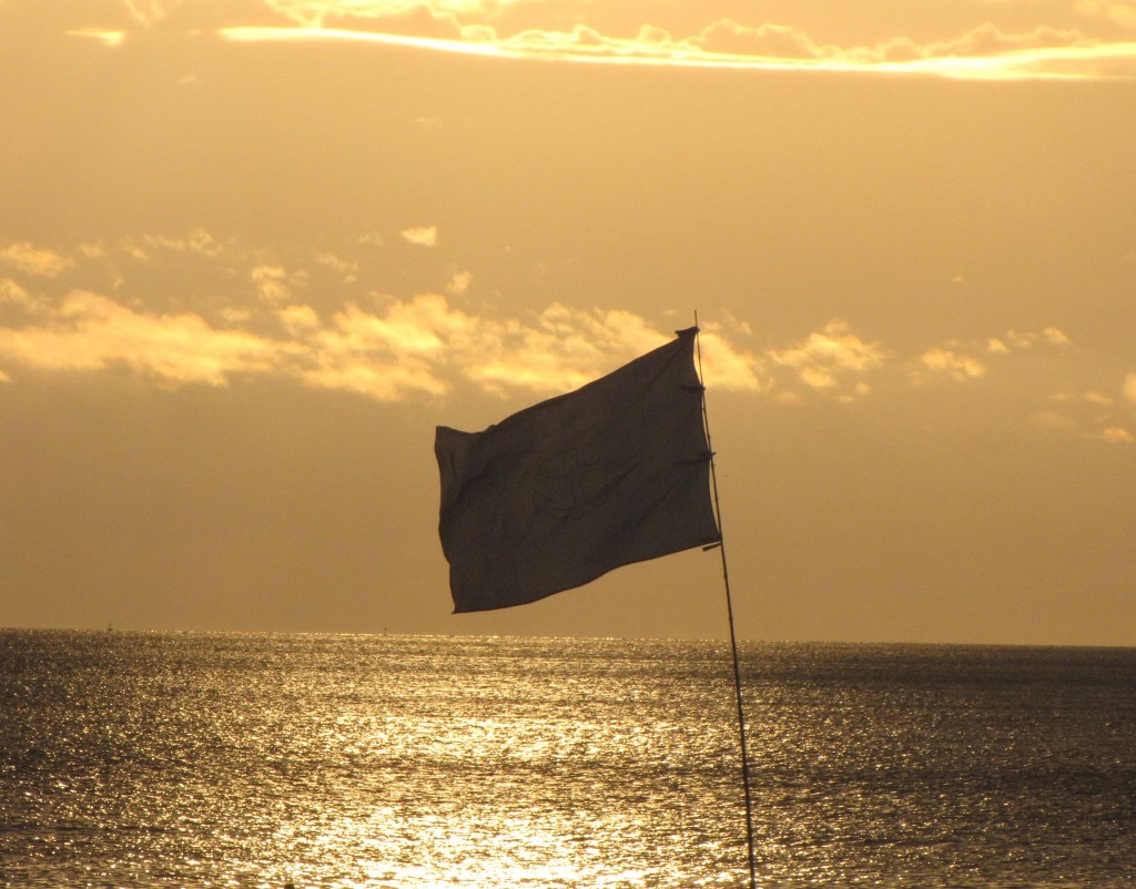 Foto: ... - Montevideo, Uruguay