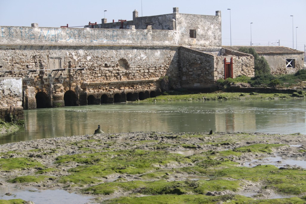 Foto de Cádiz (Andalucía), España