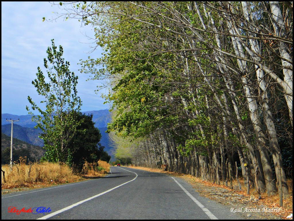 Foto de Alhué (Región Metropolitana), Chile