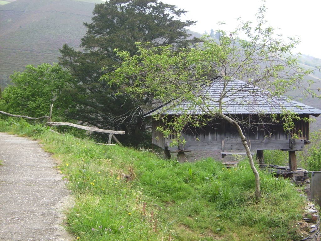 Foto: Horreo - Castanedo (Asturias), España